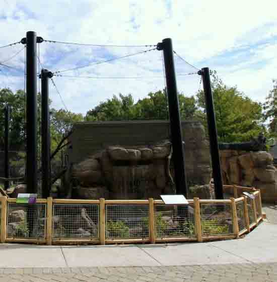 Custom zoo animal enclosure fabricated by TCB Metal Works