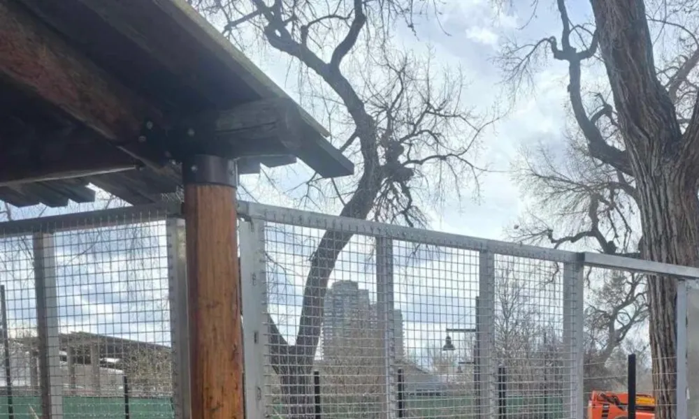 Bolted steel bracket joining a timber roof beam to a structural steel post above welded mesh, fabricated by TCB Metal Works