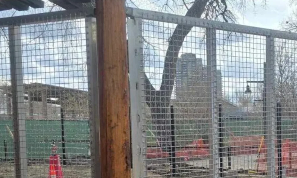 Galvanized welded mesh in a reinforced structural steel frame, fabricated by TCB Metal Works
